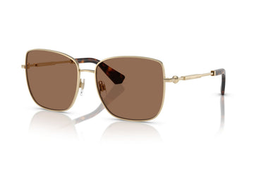 SOLID BROWN LENSES WITH GOLD FRAME