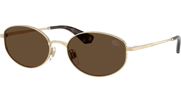 SOLID BROWN LENSES WITH GOLD FRAME