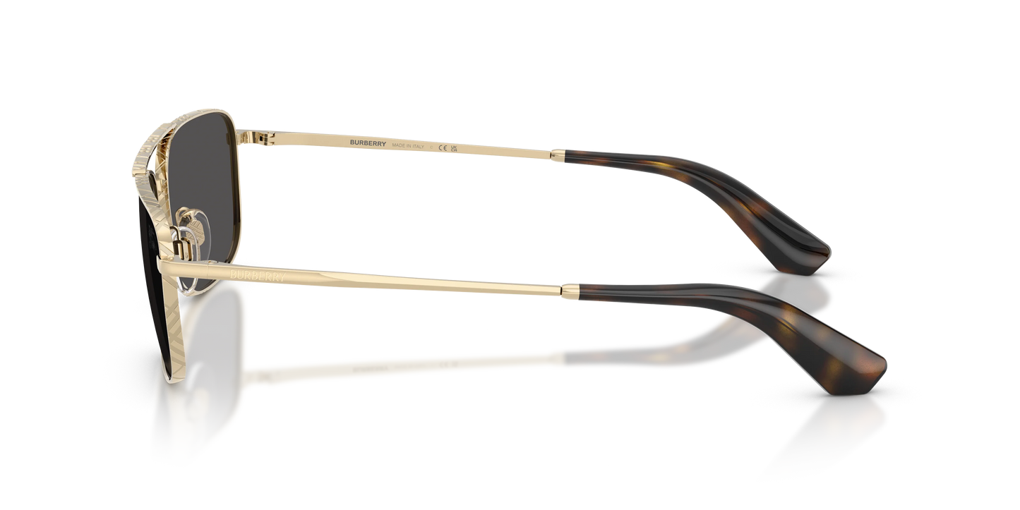 BE 3170S