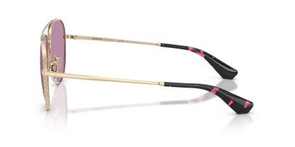 BE 3172S