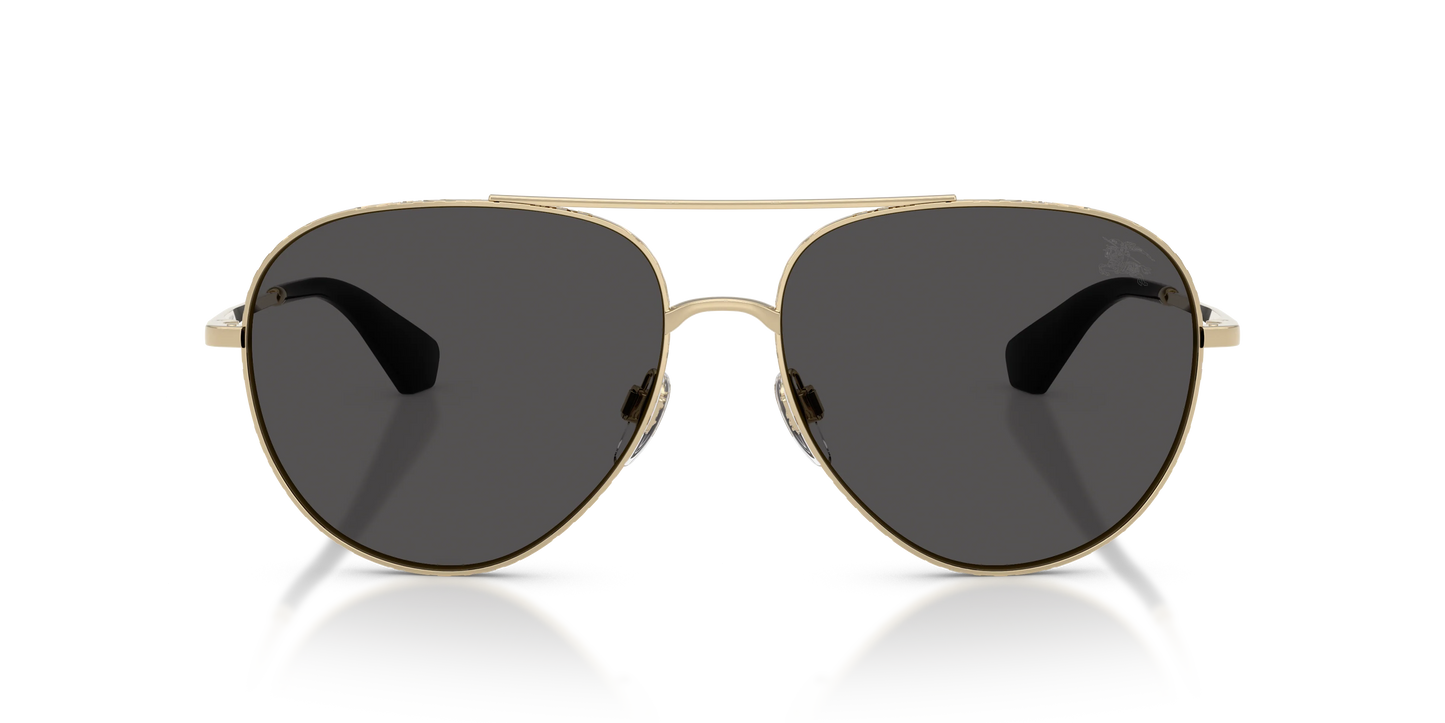 BE 3172S