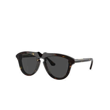SOLID GRAY LENSES WITH DARK HAVANA FRAME