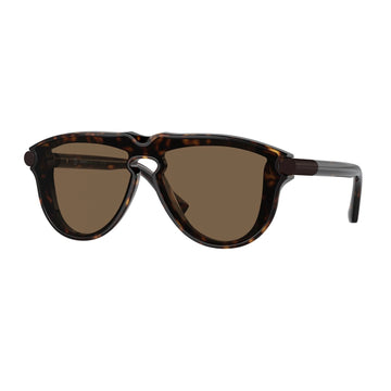 SOLID BROWN LENSES WITH HAVANA FRAME