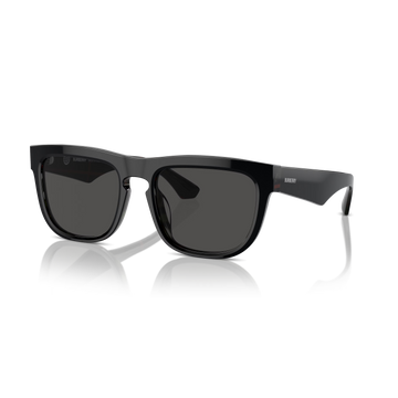 SOLID GRAY LENSES WITH BLACK FRAME
