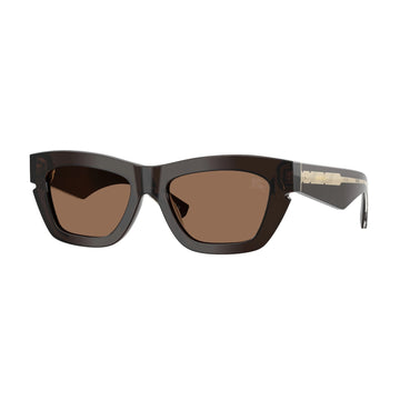 SOLID BROWN LENSES WITH BROWN FRAME