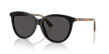 SOLID GRAY LENSES WITH SHINY BLACK FRAME