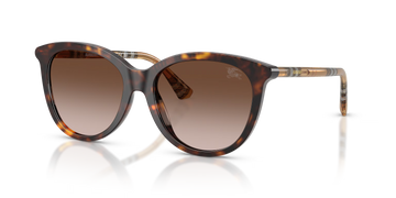 BROWN GRADIENT LENSES WITH DARK HAVANA FRAME