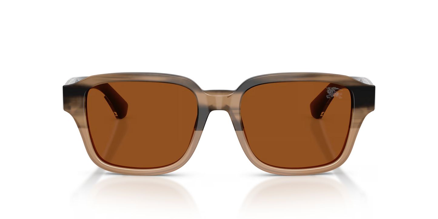 BE 4484S