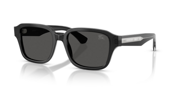 SOLID GRAY LENSES WITH BLACK FRAME