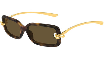 SOLID BROWN LENSES WITH HAVANA GOLD SIDE FRAME