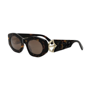SOLID BROWN LENSES WITH HAVANA FRAME