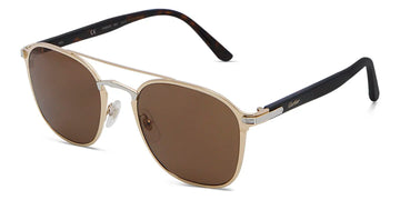 SOLID BROWN LENSES WITH GOLD FRAME