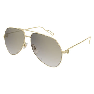 GRAY GRADIENT LENSES WITH GOLD FRAME