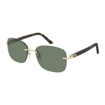 SOLID GREEN LENSES WITH GOLD HAVANA FRAME