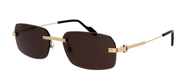 SOLID GRAY LENSESS WITH GOLD FRAME