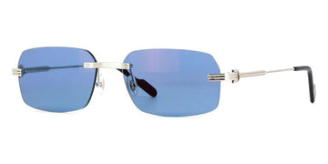 BLUE LENSES WITH SLIVER FRAME