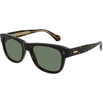 GREEN LENSES WITH HAVANA FRAME