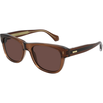 SOLID BROWN LENSES WITH BROWN FRAME