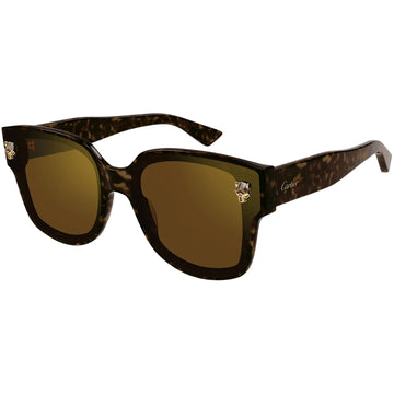 SOLID BROWN WITH GOLDEN FLASH LENSES WITH HAVANA FRAME