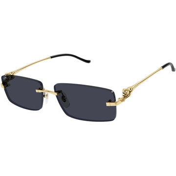 GRAY LENSES WITH GOLD FRAME