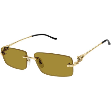 OCHRA LENSES WITH GOLD FRAME
