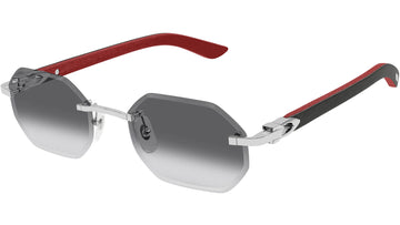 GRAY GRADIENT LENSES WITH SLIVER FRAME