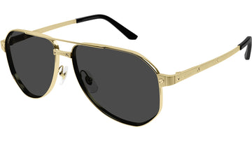 SOLID GRAY POLARIZED LENSES WITH GOLD FRAME