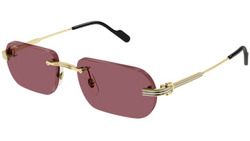 SOLID BORDEAUX LENSES WITH GOLD FRAME