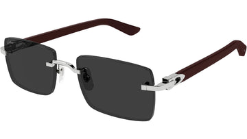 SOLID GRAY LENSES WITH SLIVER FRAME