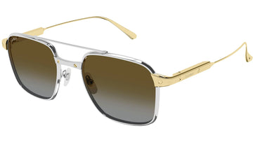 BROWN GRADIENT POLARIZED LENSES WITH SMOOTH PLATINUM FRAME