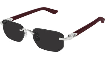 ULTRA BLACK LENSES WITH SMOOTH PLATINUM FRAME