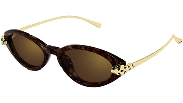 SOLID BROWN WITH GOLDEN FLASH LENSES WITH HAVANA FRAME