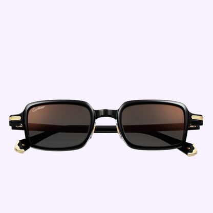 Cartier CT0539S Rectangle Sunglasses in Dark Black/Gold, side view