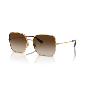 BROWN GRADIENT LENSES WITH GOLD FRAME