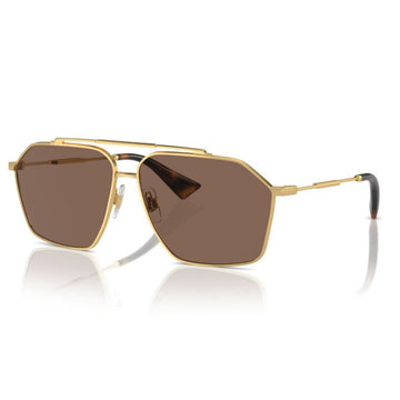 SOLID BROWN LENSES WITH GOLD FRAME
