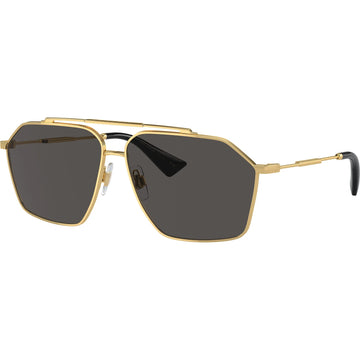SOLID GRAY LENSES WITH GOLD FRAME