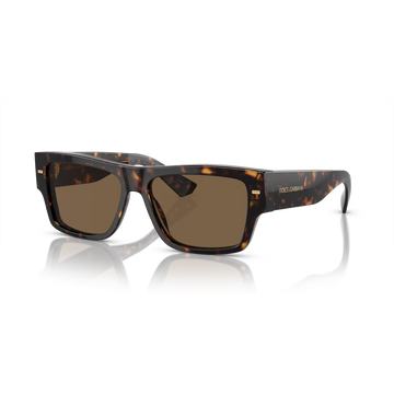 SOLID BROWN LENSES WITH HAVANA FRAME