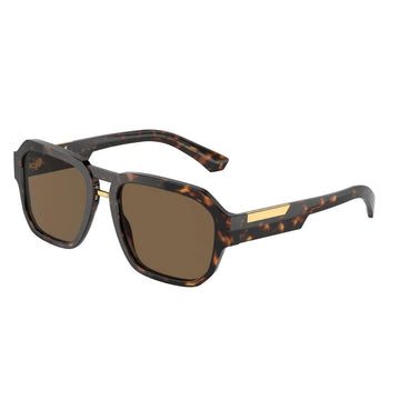 SOLID BROWN LENSES WITH HAVANA FRAME