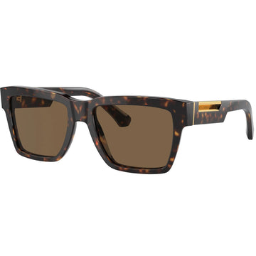 SOLID BROWN LENSES WITH HAVANA FRAME