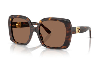 SOLID BROWN LENSES WITH HAVANA FRAME