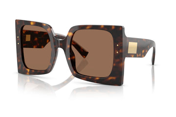 SOLID BROWN LENSES WITH HAVANA GOLD FRAME