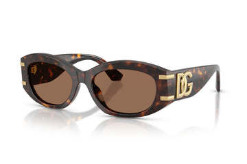 SOLID BROWN LENSES WITH HAVANA FRAME