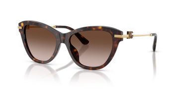 BROWN GRADIENT LENSES WITH HAVANA FRAME