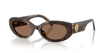 SOLID BROWN LENSES WITH DARK HAVANA FRAME