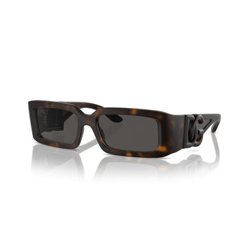 SOLID GRAY LENSES WITH HAVANA FRAME