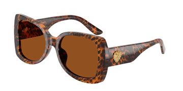 SOLID BROWN LENSES WITH ANIMAL PRINT FRAME