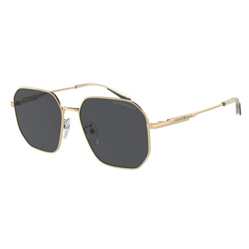 SOLID GRAY LENSES WITH LIGHT GOLD FRAME
