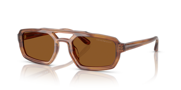 SOLID BROWN LENSES WITH HAVANA FRAME