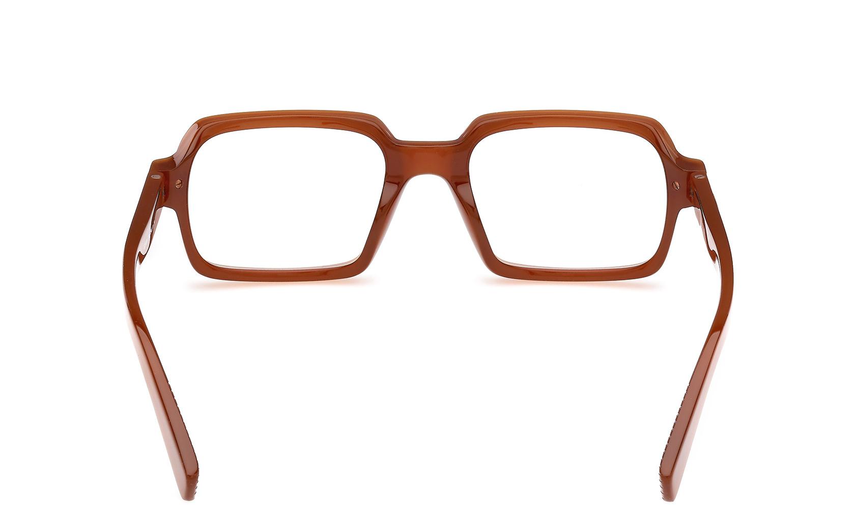 Zegna EZ5301 Rectangle Eyeglasses in Shiny Light Brown, back view