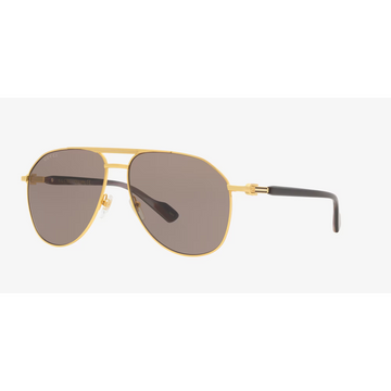 SOLID BROWN LENSES WITH GOLD FRAME